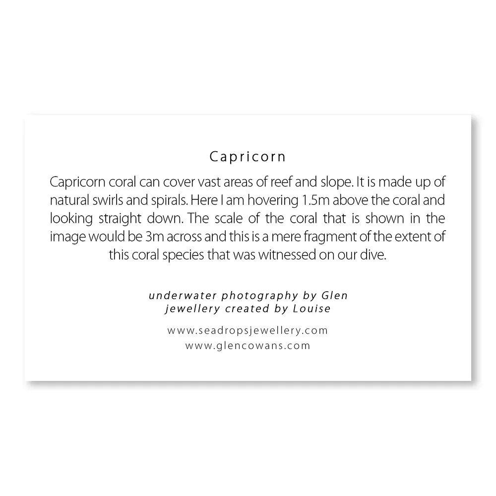 Capricorn Mini Print