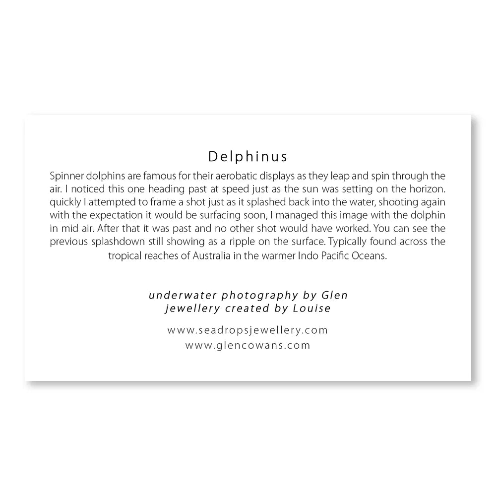 Delphinus Mini Print