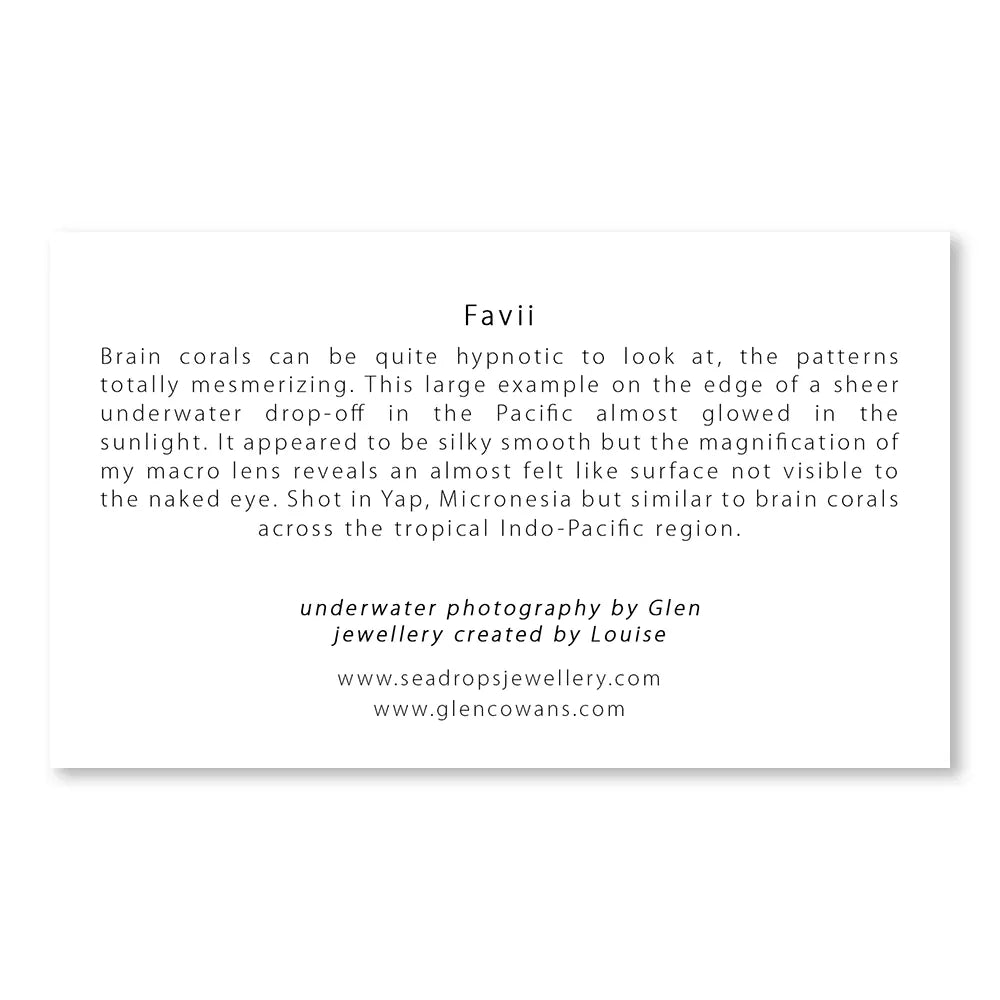 Favii Teardrop Earrings - Sterling Silver