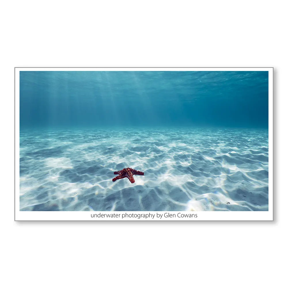 Ningaloo Star Mini Print