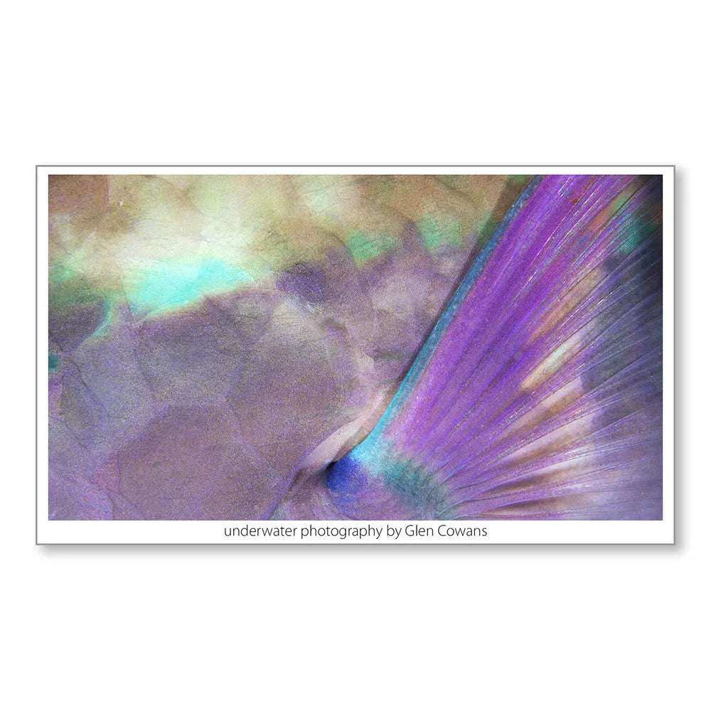 Parrotfish II Mini Print