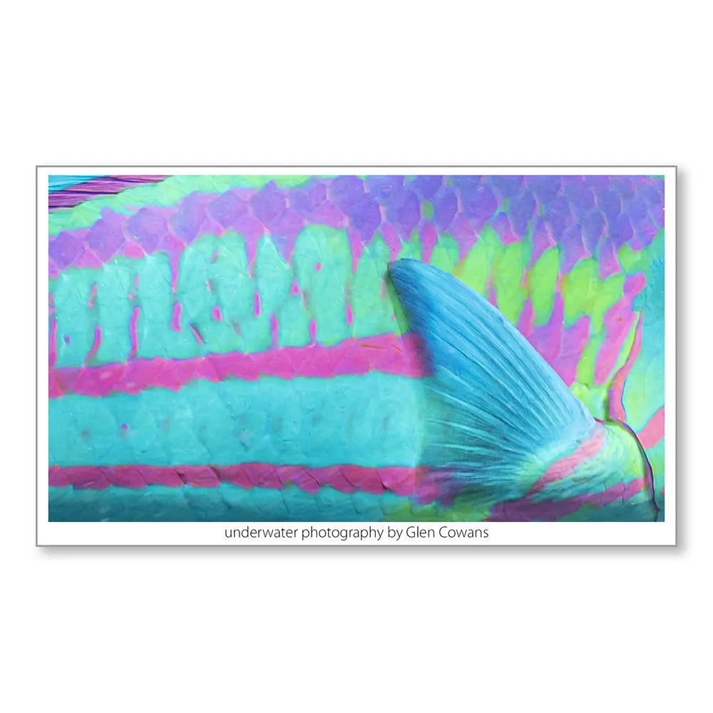 Rainbow Mini Print