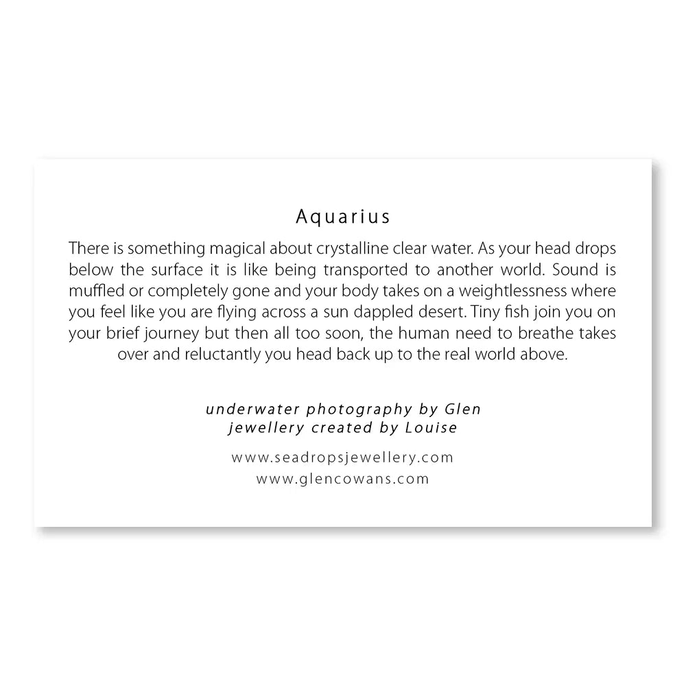 Aquarius Mini Print