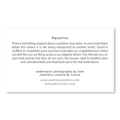 Aquarius Mini Print