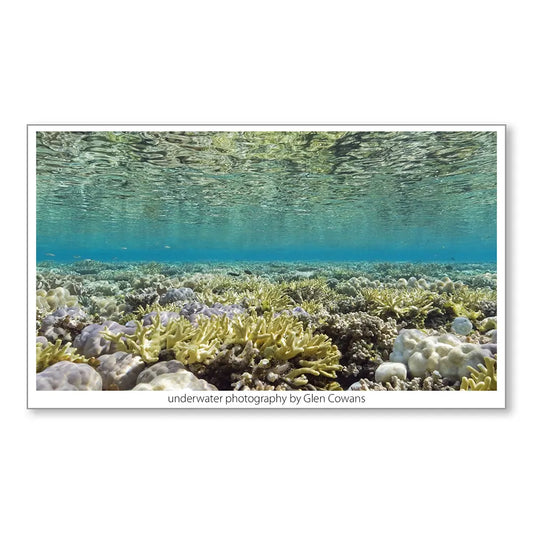 Coral Sea Mini Print