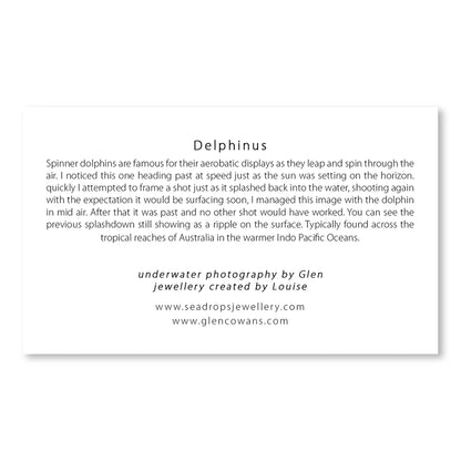 Delphinus Mini Print