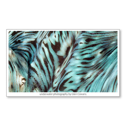 Ningaloo Dreaming Mini Print