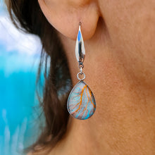 Load image into Gallery viewer, Gorgonian Tear Drop Earrings Stainless Steel Hooks
