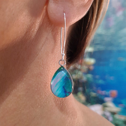 Parrotfish 1 Teardrop Earrings - Sterling Silver