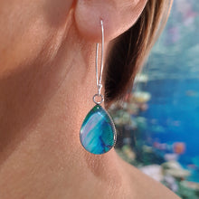 Load image into Gallery viewer, Parrotfish 1 Tear Drop Earrings Silver Wires
